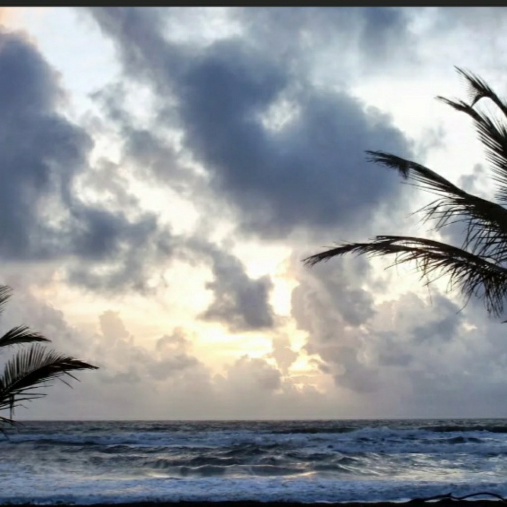 Meet your Posher, Renee